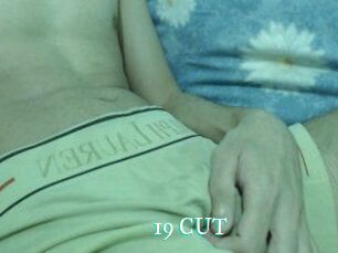 19_CUT