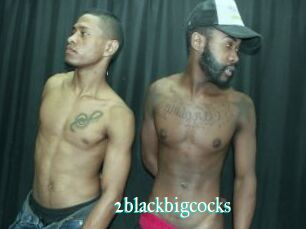 2blackbigcocks