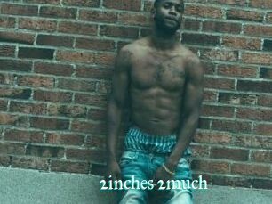 2inches_2much