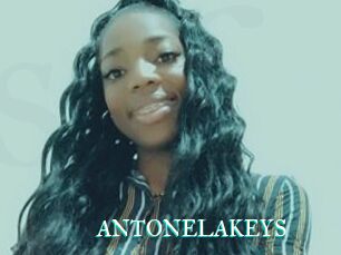 ANTONELAKEYS