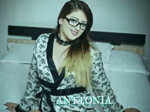 ANTTONIA_