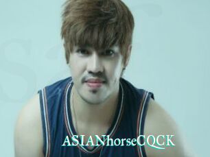 ASIANhorseCQCK