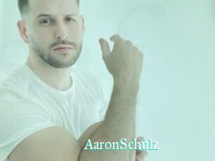 AaronSchulz