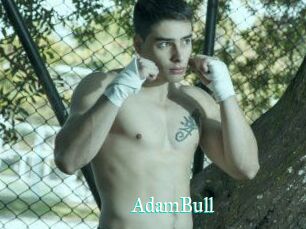 AdamBull
