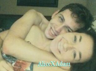 Alice_X_Adam