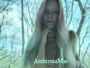 AmbrosiaMae