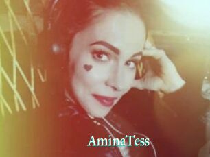 AminaTess