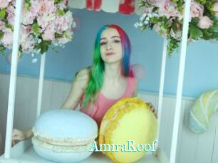 AmiraRoof