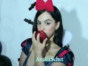 AnaliaSchet