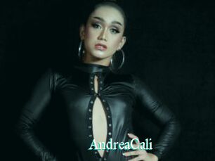 AndreaCali