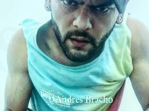 Andres_Bracho