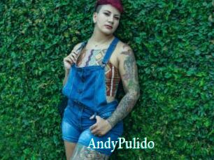 AndyPulido