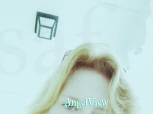 AngelView