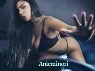 Anieminori
