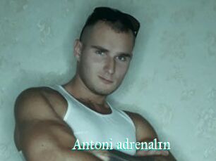 Antoni_adrenal1n