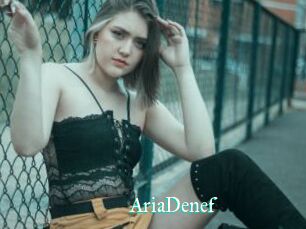 AriaDenef