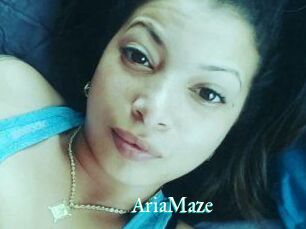 Aria_Maze