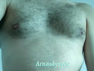 Arnaud95300