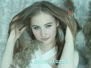 AuroraTurnel