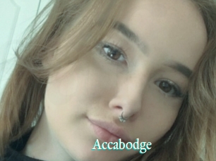Accabodge