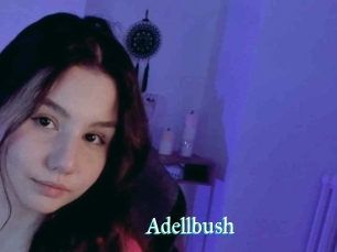 Adellbush