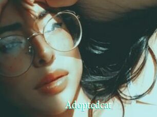 Adoptedcat