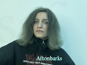 Aftonbarks