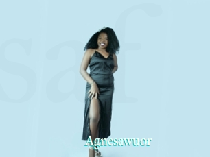 Agnesawuor