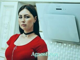 Agnessflower