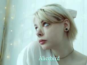 Alicebird