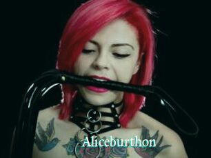 Aliceburthon