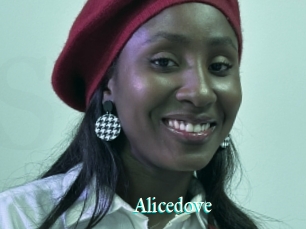 Alicedove