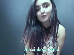 Aliceinboobieland