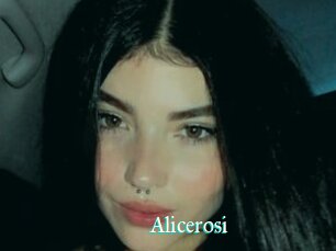 Alicerosi