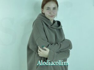 Alodiacollins