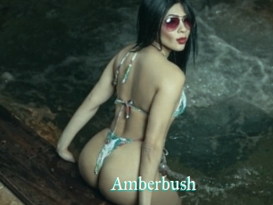 Amberbush