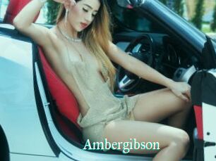 Ambergibson