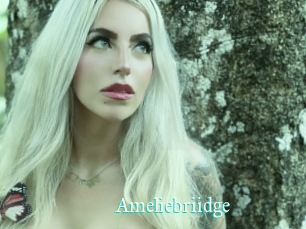 Ameliebriidge