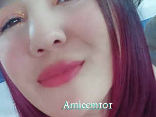 Amiecm101
