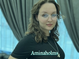 Aminaholms
