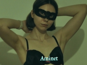 Aminet