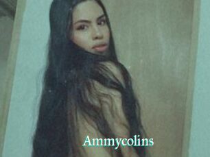 Ammycolins