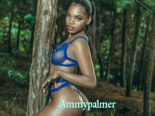 Ammypalmer