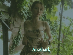 Anashark