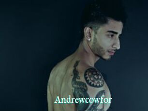 Andrewcowfor