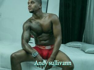 Andy_sullivann