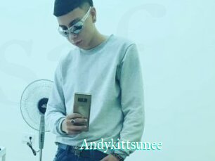 Andykittsunee