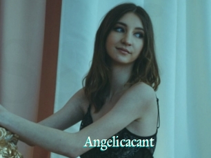 Angelicacant
