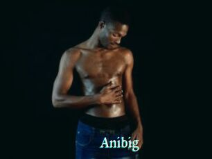 Anibig