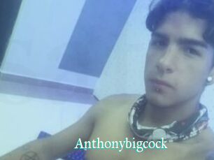 Anthonybigcock